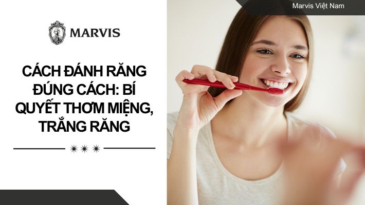 Cách đánh răng đúng cách