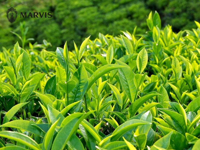 Làm thế nào để hết ê buốt răng