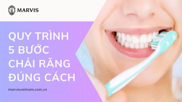 5 bước chải răng đúng cách