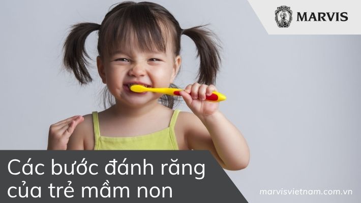 Các bước đánh răng của trẻ mầm non
